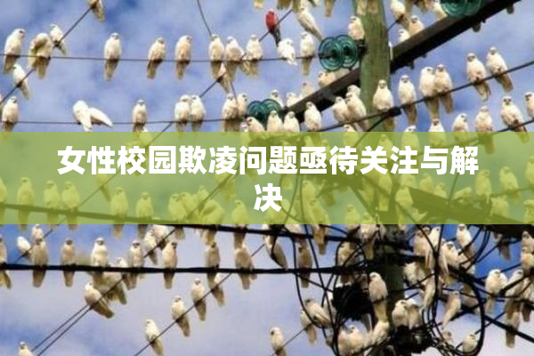 女性校园欺凌问题亟待关注与解决