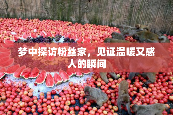 梦中探访粉丝家，见证温暖又感人的瞬间