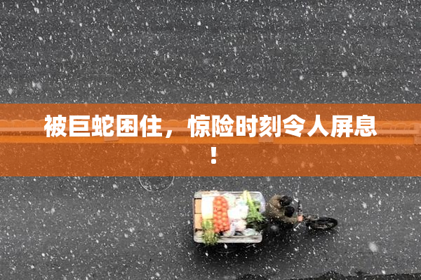 被巨蛇困住，惊险时刻令人屏息！