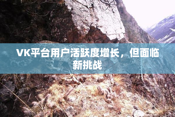 VK平台用户活跃度增长，但面临新挑战