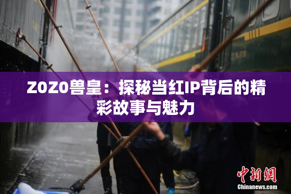 Z0Z0兽皇：探秘当红IP背后的精彩故事与魅力