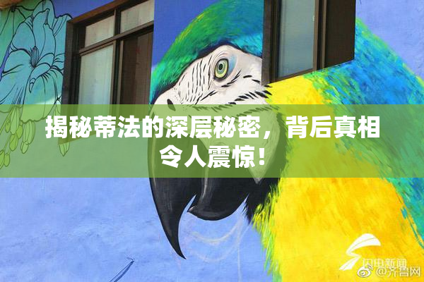 揭秘蒂法的深层秘密，背后真相令人震惊！