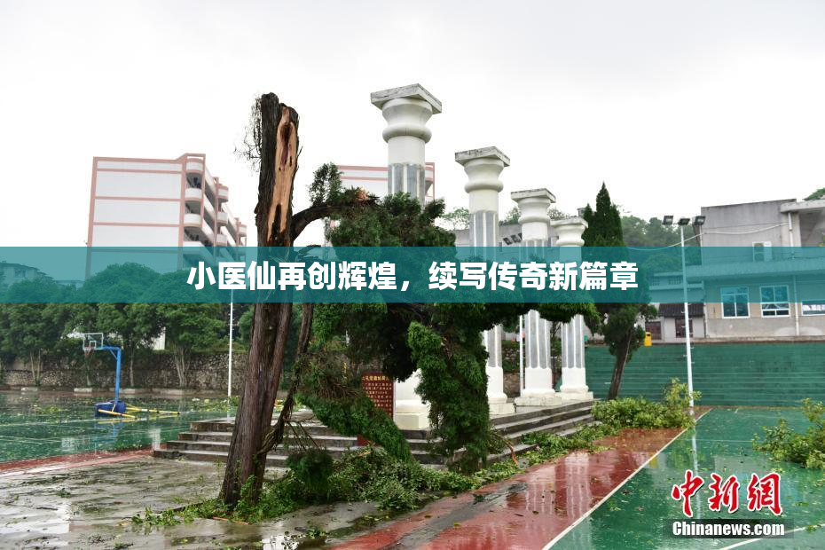 小医仙再创辉煌，续写传奇新篇章