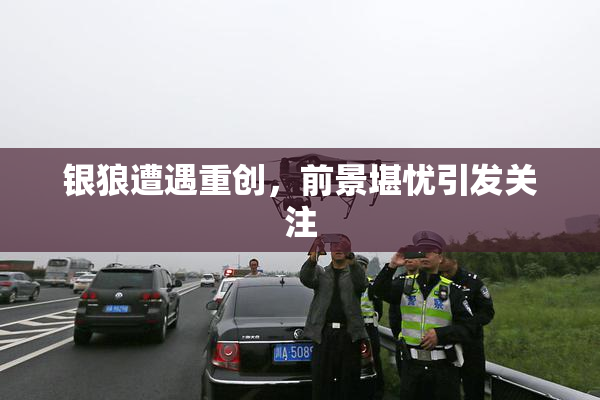 银狼遭遇重创，前景堪忧引发关注
