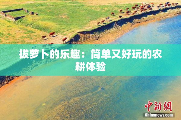 拔萝卜的乐趣：简单又好玩的农耕体验