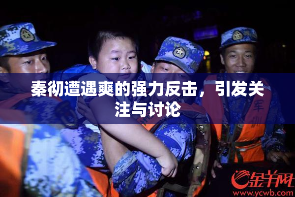 秦彻遭遇爽的强力反击，引发关注与讨论