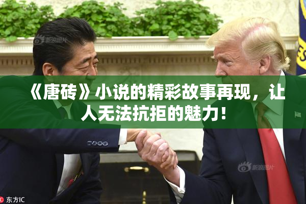 《唐砖》小说的精彩故事再现，让人无法抗拒的魅力！