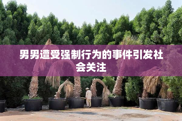 男男遭受强制行为的事件引发社会关注