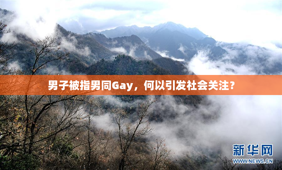 男子被指男同Gay，何以引发社会关注？