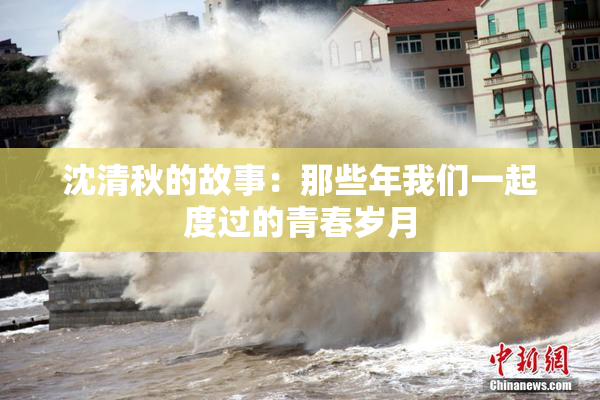沈清秋的故事：那些年我们一起度过的青春岁月