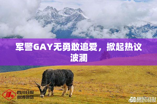 军警GAY无勇敢追爱，掀起热议波澜