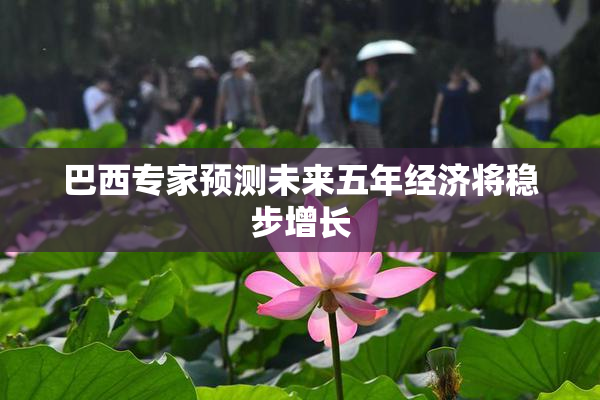 巴西专家预测未来五年经济将稳步增长