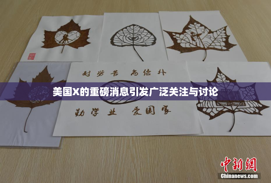 美国X的重磅消息引发广泛关注与讨论