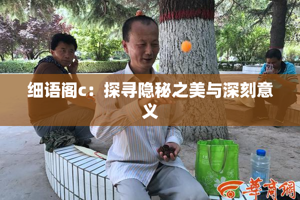 细语阁c：探寻隐秘之美与深刻意义