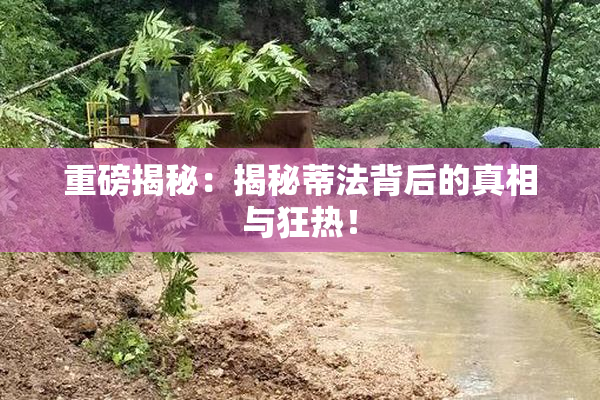 重磅揭秘：揭秘蒂法背后的真相与狂热！