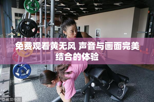 免费观看黄无风 声音与画面完美结合的体验