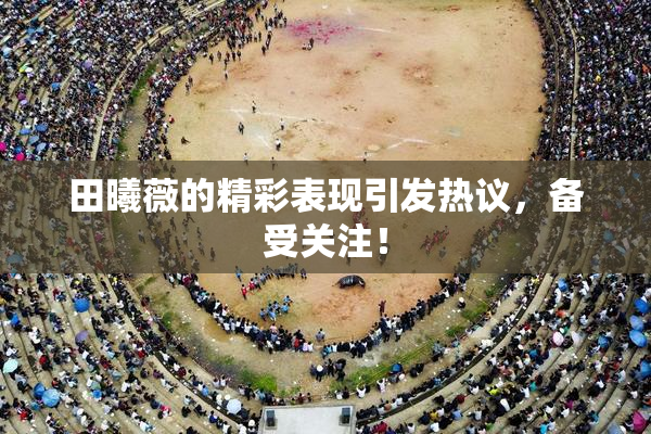 田曦薇的精彩表现引发热议，备受关注！