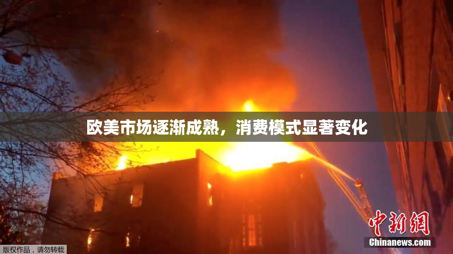 欧美市场逐渐成熟，消费模式显著变化