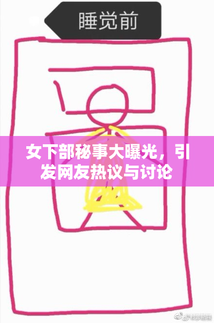 女下部秘事大曝光，引发网友热议与讨论