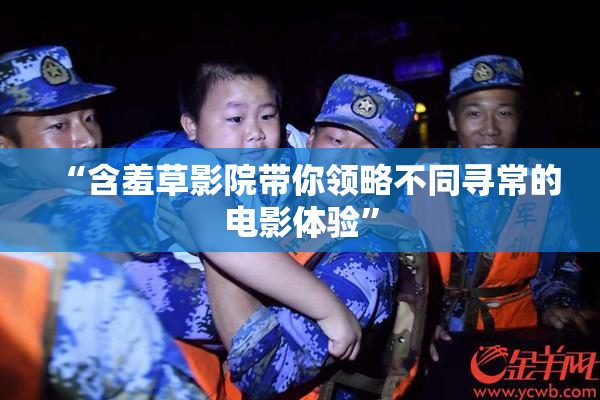 “含羞草影院带你领略不同寻常的电影体验”