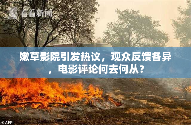 嫩草影院引发热议，观众反馈各异，电影评论何去何从？