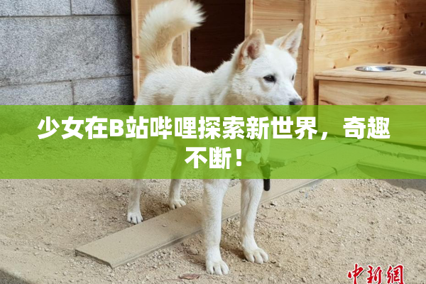 少女在B站哔哩探索新世界，奇趣不断！