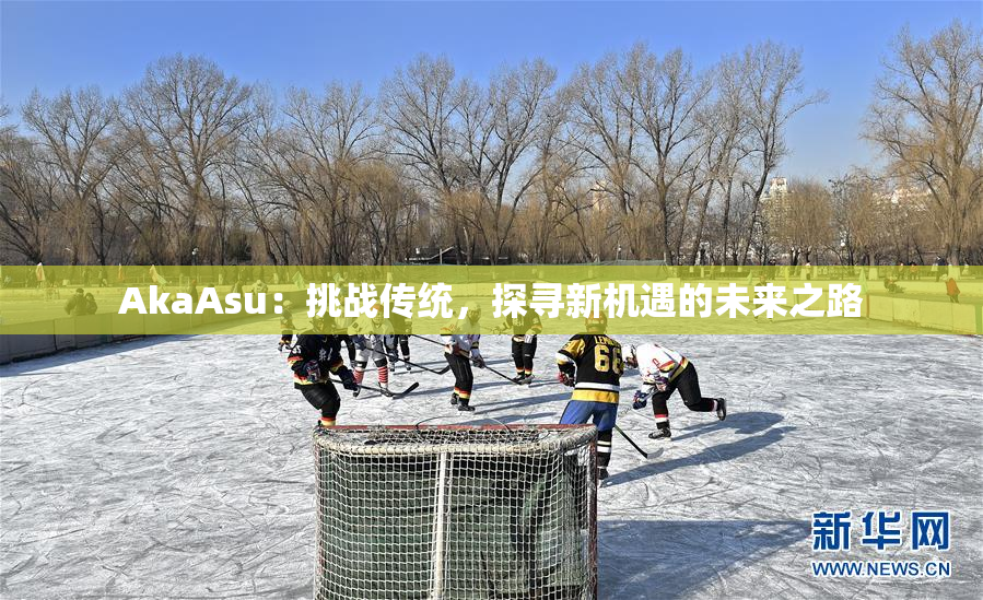 AkaAsu：挑战传统，探寻新机遇的未来之路