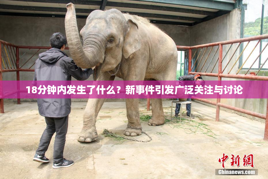 18分钟内发生了什么？新事件引发广泛关注与讨论