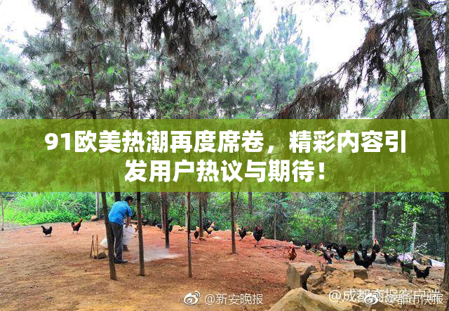 91欧美热潮再度席卷，精彩内容引发用户热议与期待！