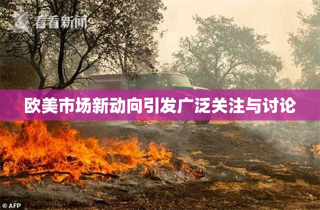 欧美市场新动向引发广泛关注与讨论