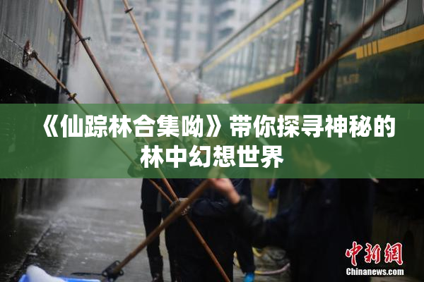《仙踪林合集呦》带你探寻神秘的林中幻想世界