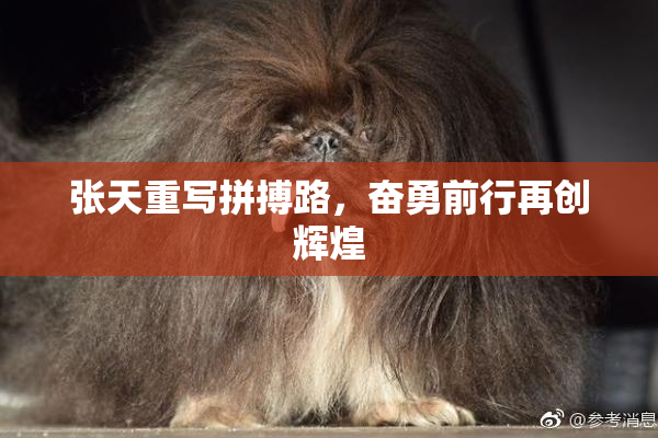 张天重写拼搏路，奋勇前行再创辉煌