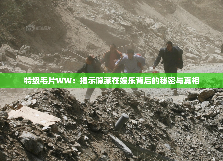 特级毛片WW：揭示隐藏在娱乐背后的秘密与真相