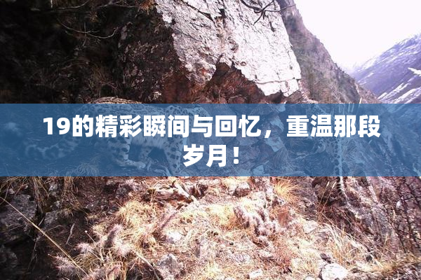 19的精彩瞬间与回忆，重温那段岁月！