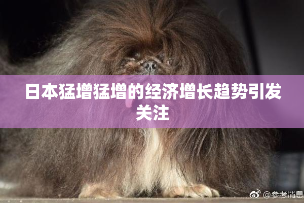 日本猛增猛增的经济增长趋势引发关注