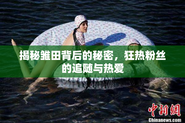 揭秘雏田背后的秘密，狂热粉丝的追随与热爱
