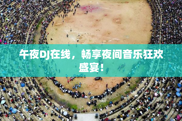 午夜DJ在线，畅享夜间音乐狂欢盛宴！
