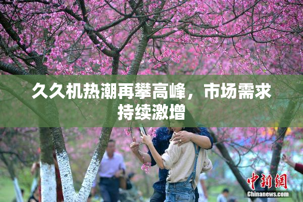 久久机热潮再攀高峰，市场需求持续激增