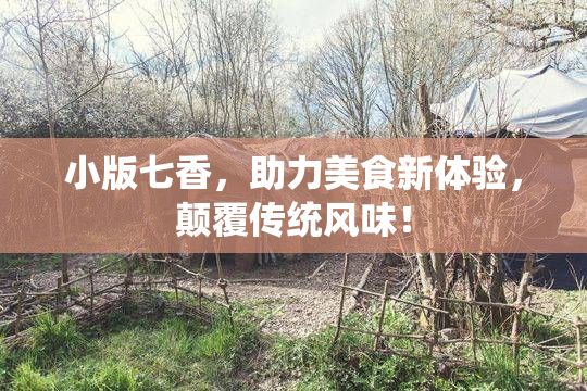 小版七香，助力美食新体验，颠覆传统风味！