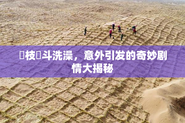 狛枝凪斗洗澡，意外引发的奇妙剧情大揭秘