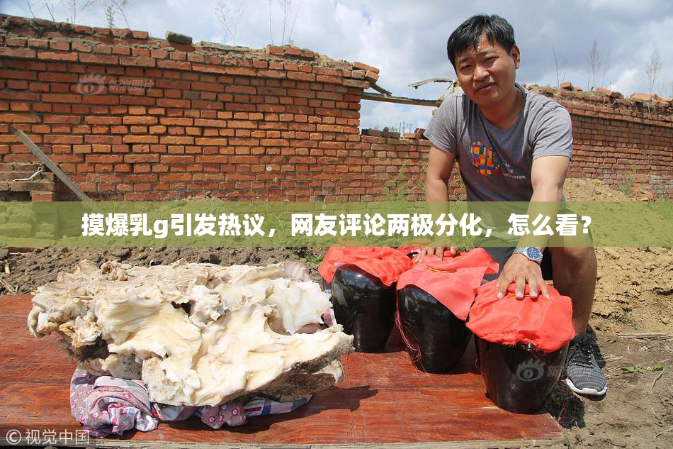 摸爆乳g引发热议，网友评论两极分化，怎么看？