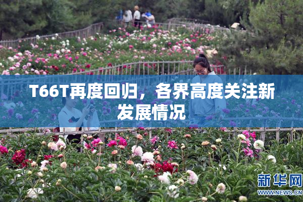 T66T再度回归，各界高度关注新发展情况