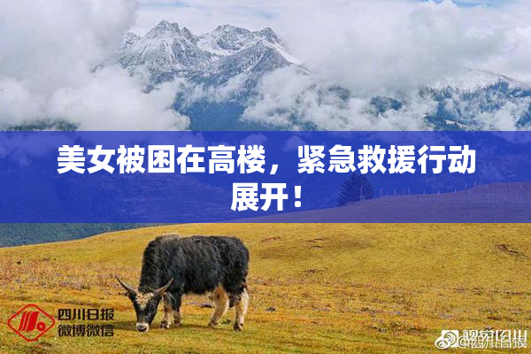 美女被困在高楼，紧急救援行动展开！