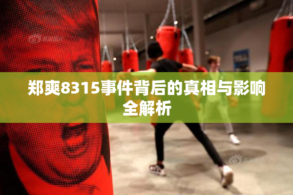 郑爽8315事件背后的真相与影响全解析