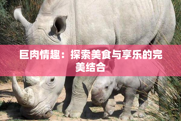 巨肉情趣：探索美食与享乐的完美结合