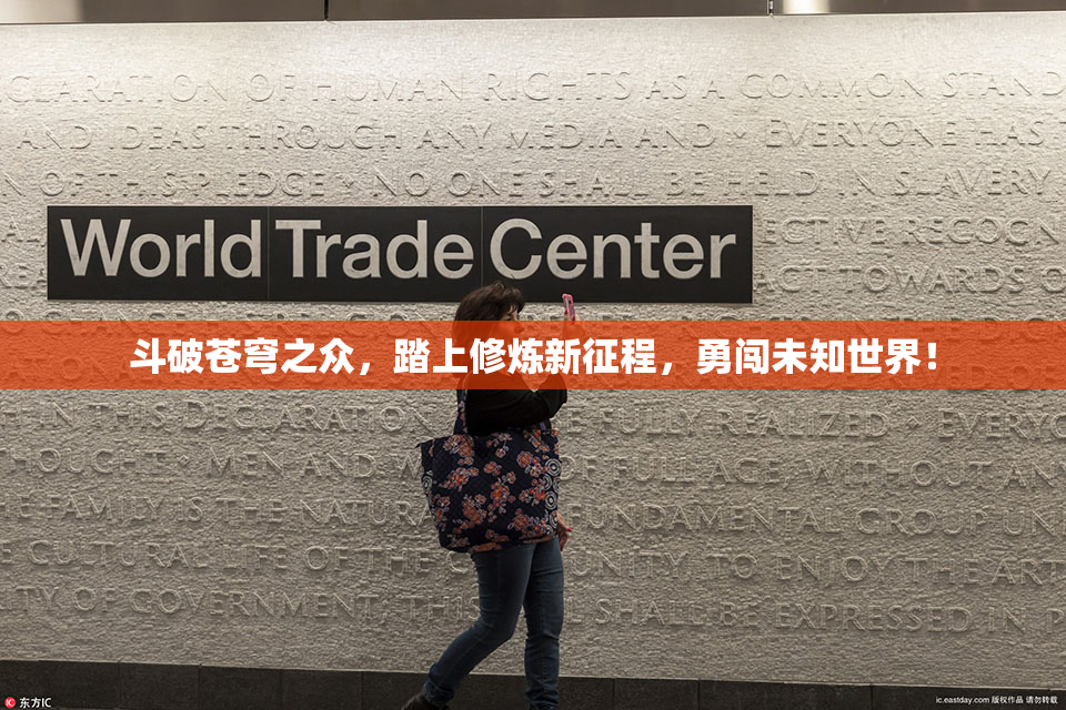斗破苍穹之众，踏上修炼新征程，勇闯未知世界！