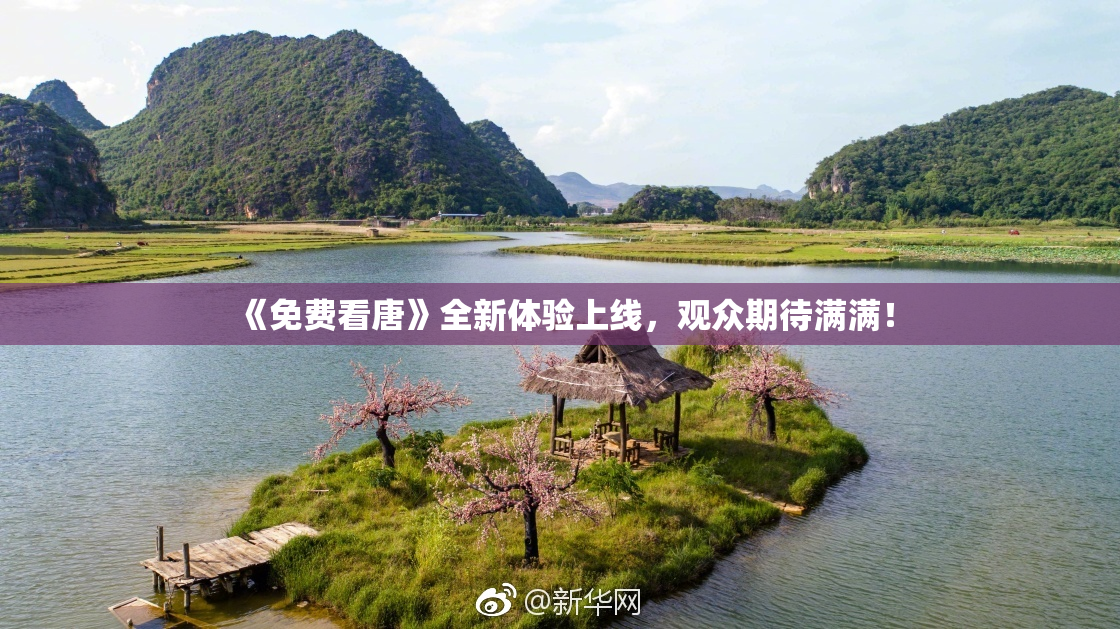 《免费看唐》全新体验上线，观众期待满满！