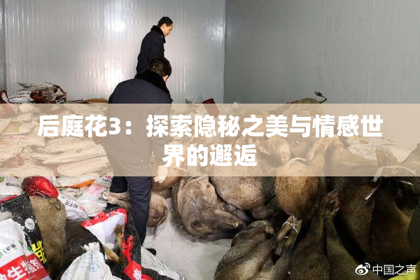 后庭花3：探索隐秘之美与情感世界的邂逅