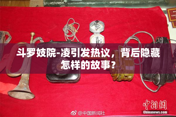 斗罗妓院-凌引发热议，背后隐藏怎样的故事？