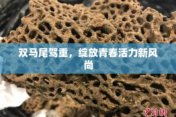 双马尾驾重，绽放青春活力新风尚